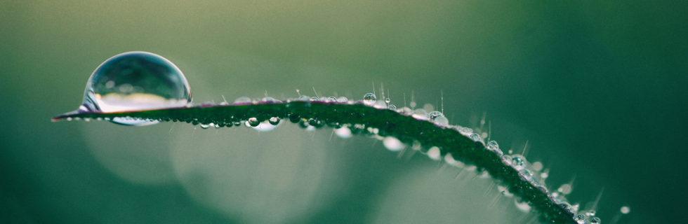A path through autumn woods, symbolizing the beginning of a journey